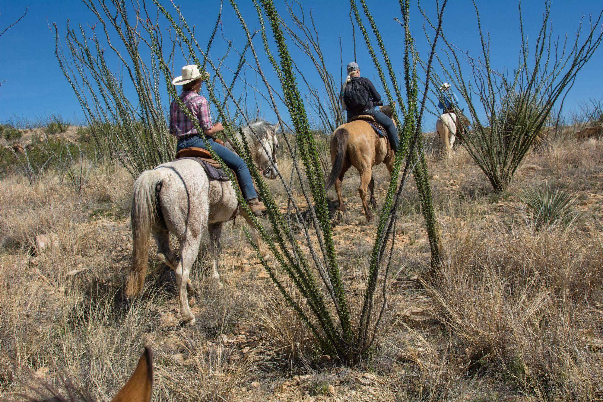 Rancho De La Osa Guest Ranch 호텔 Sasabe 외부 사진